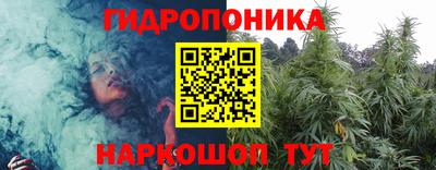 PSILOCYBIN Кулебаки