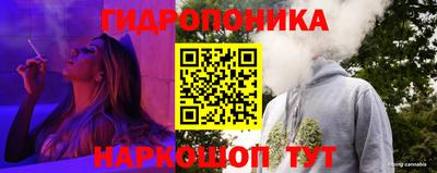 PSILOCYBIN Кулебаки