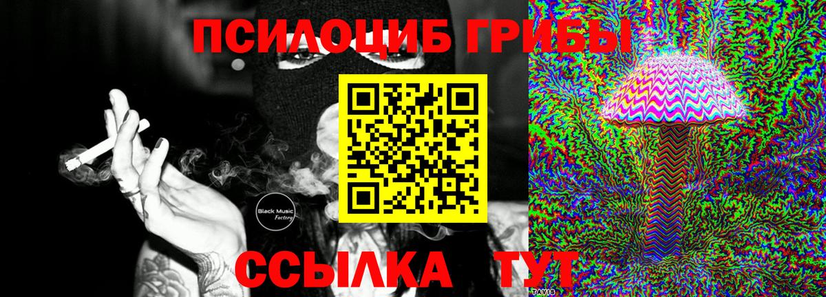 Галлюциногенные грибы MAGIC MUSHROOMS Калининград