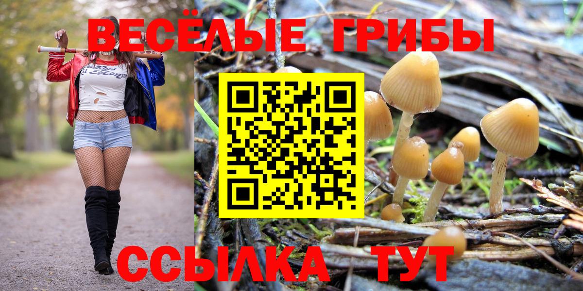 Калининград  Галлюциногенные грибы MAGIC MUSHROOMS  Псилоцибиновые грибы Psilocybine cubensis  Вход с VPN 